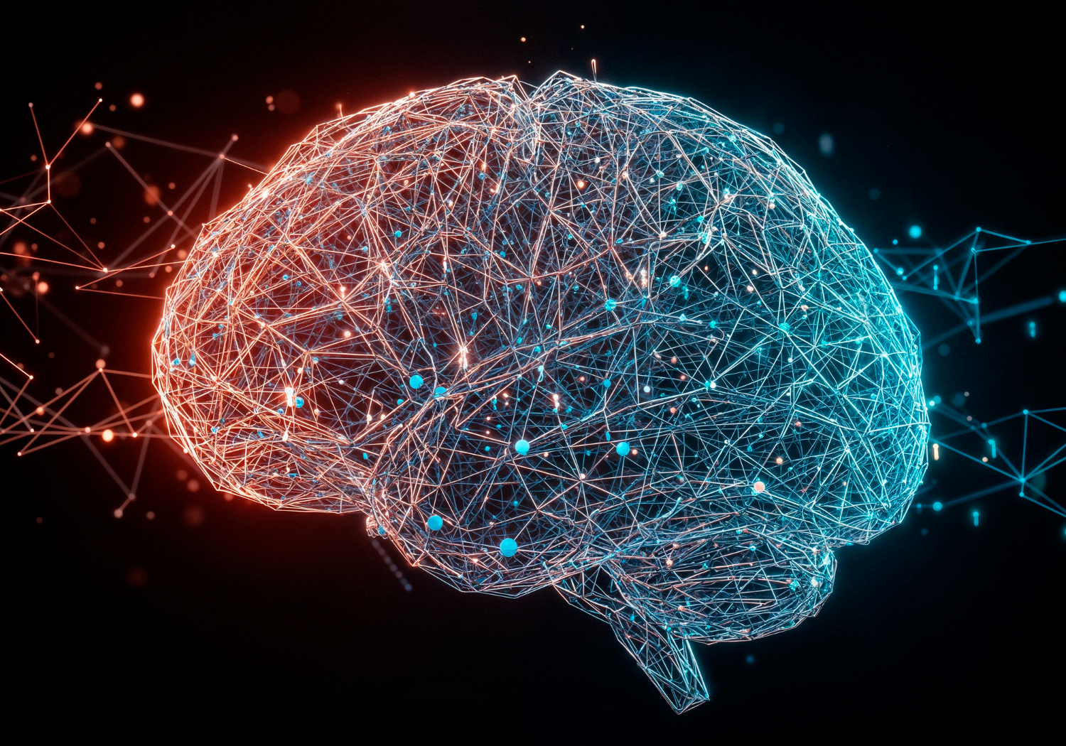 How brain works
