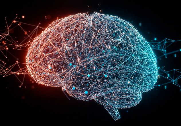 How brain works