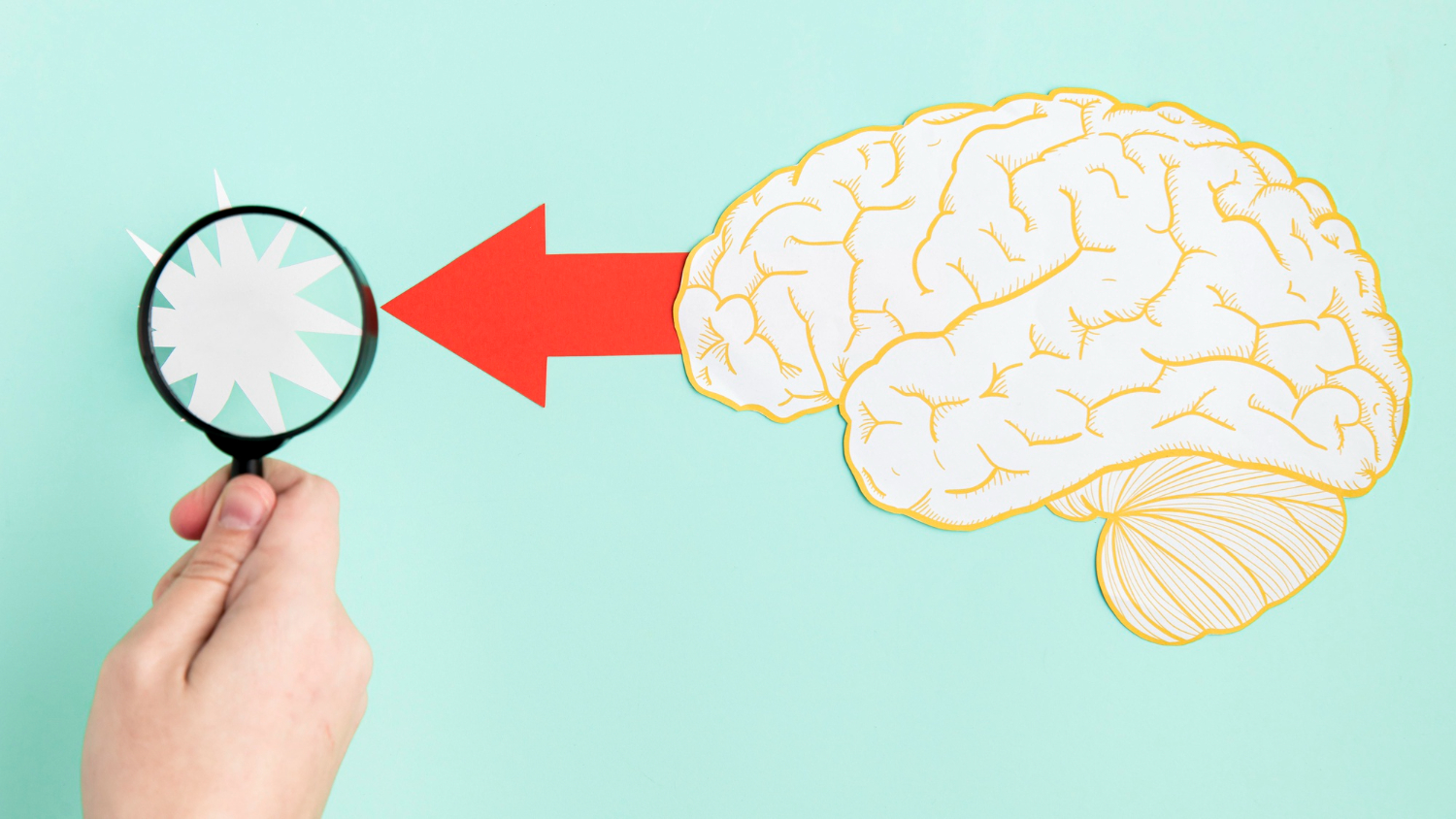5 things you should know about your brain