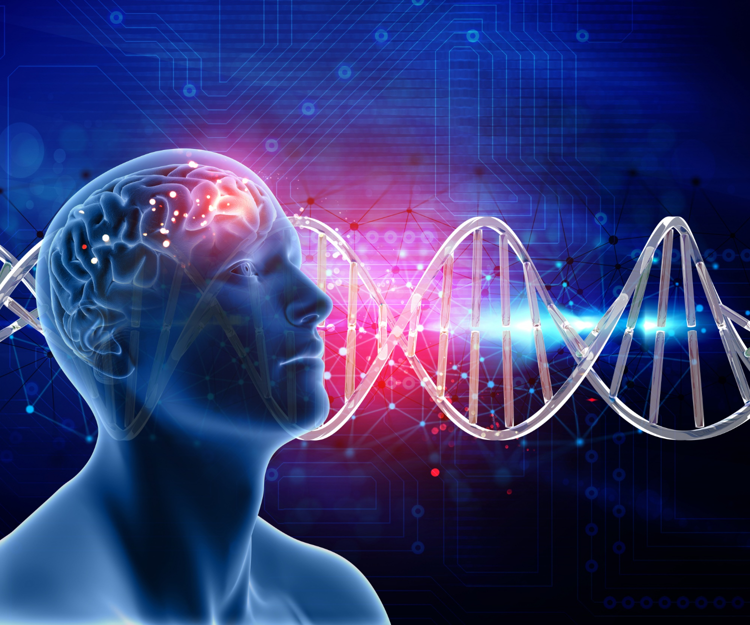 Genetics and mental performance