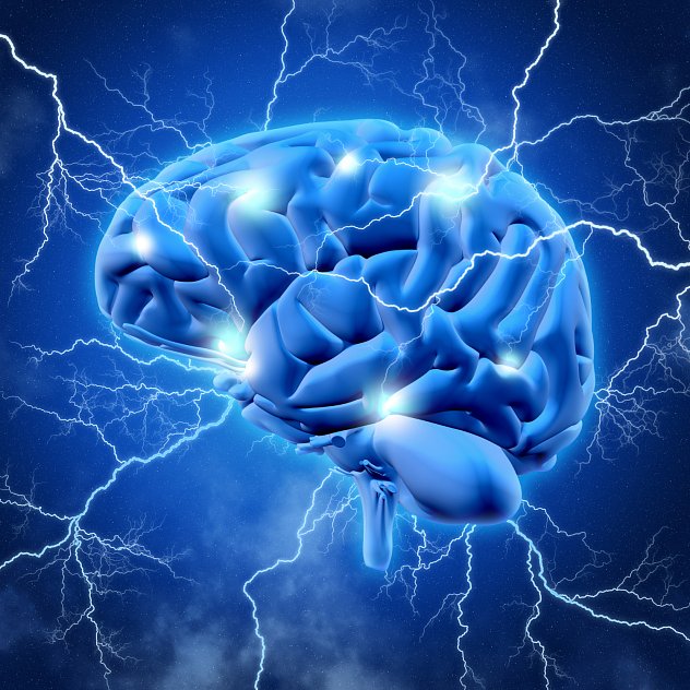 Brain plasticity