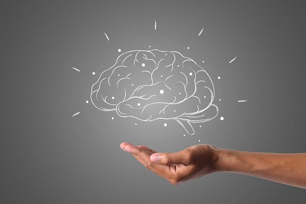 Meet with brain