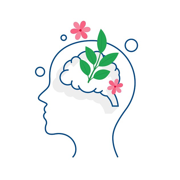 Fun facts about our brain