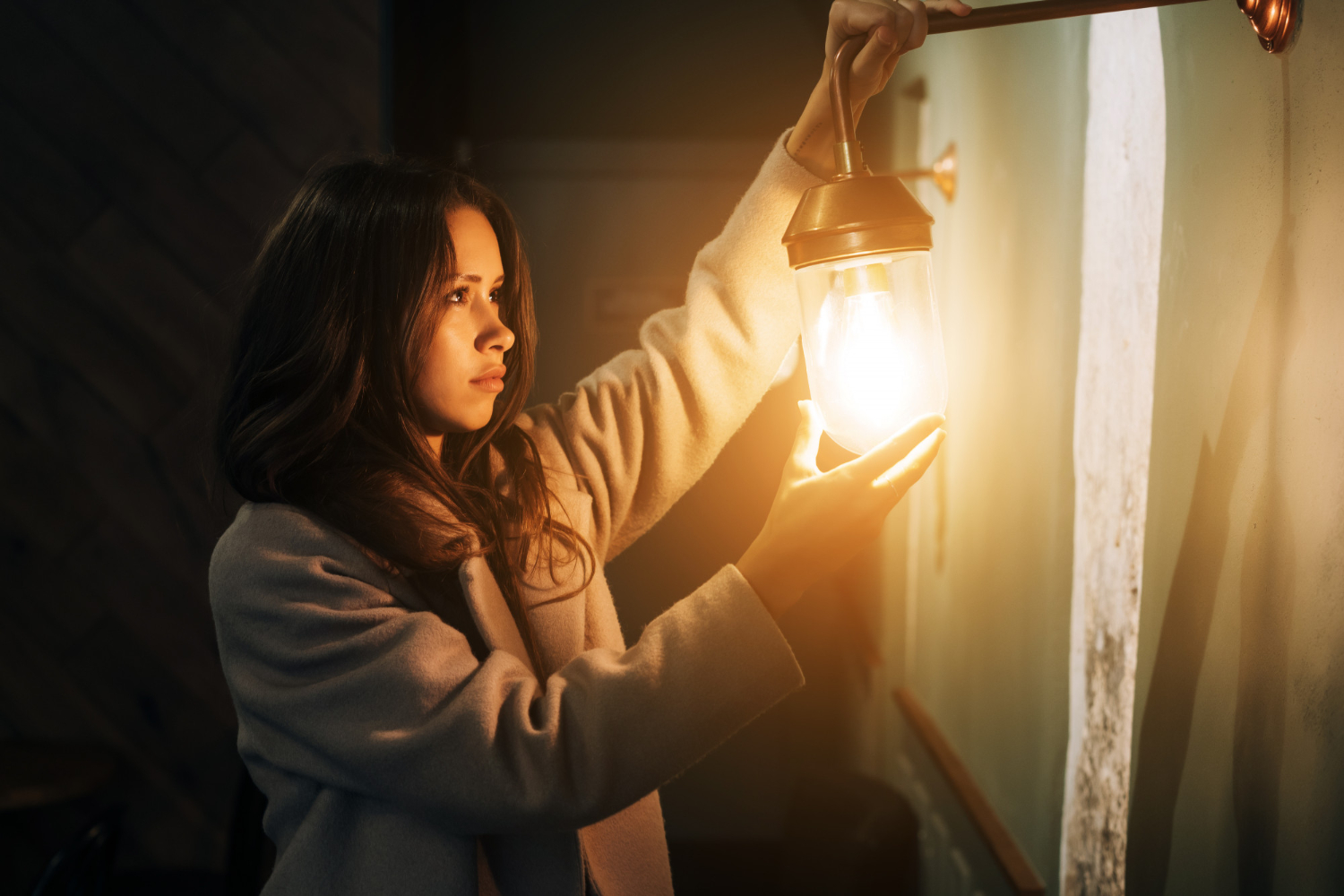 Lighting and Its Influence on the Brain